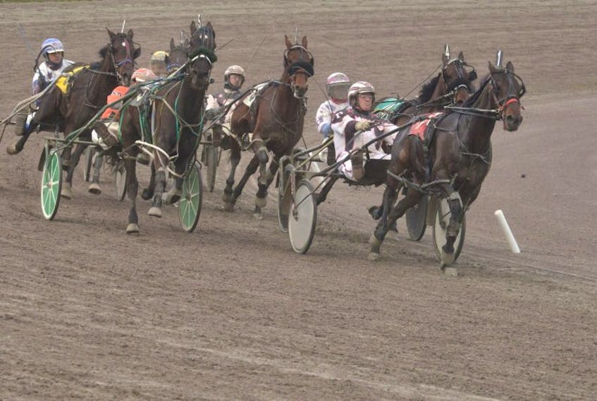 Sanchez Blue Chip, with Vincent Poulton in the bike, leads the pack around the turn Thursday during Race 1 at Red Shores at the Charlottetown Driving Park.