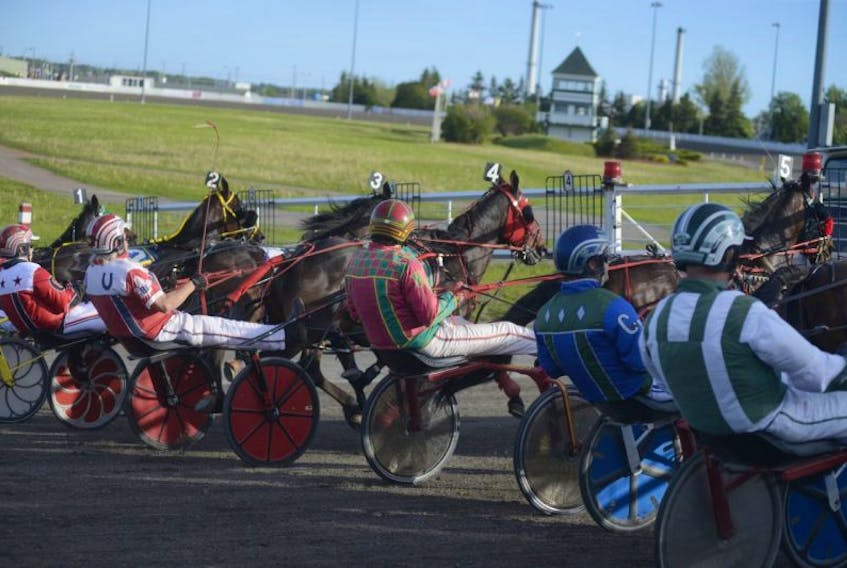 There is one card of harness racing action tonight at Red Shores at the Charlottetown Driving Park.