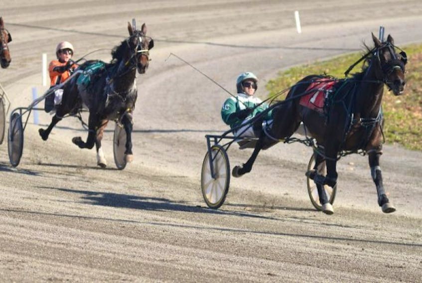 Island Energetic, with Marc Campbell in the bike, leads the pack around the final turn and heads for the finish line Sunday at Red Shores at the Charlottetown Driving Park.