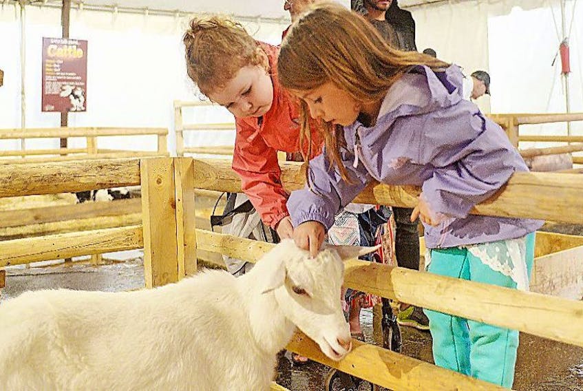 Friends Mila MacDonald, left, and Tabor May pet one of the goats at this year’s Old Home Week in Charlottetown. The two attend the provincial exhibition together every year, with the smaller midway rides and petting the animals being some of the highlights for them.