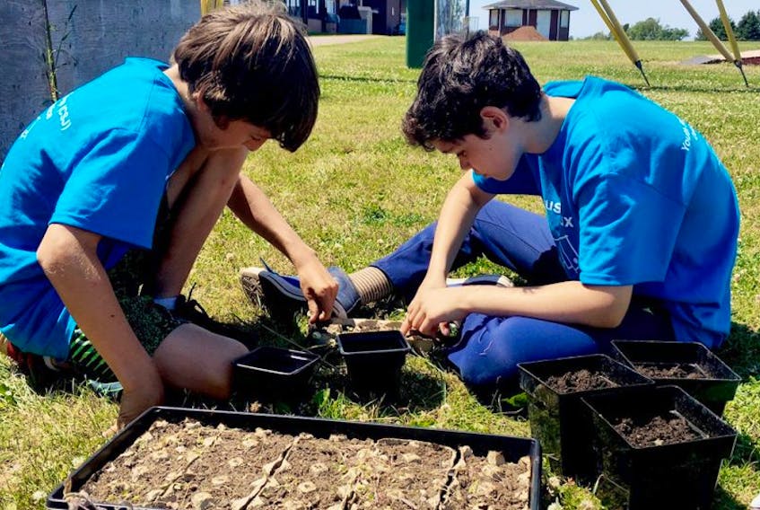 Jake Gallant, left, and Jaden McInnis, members of The Hard Workers Youth Services Co-op, keep busy preparing plants for transplantation into the vegetable and herb garden near Evangeline School in Abram-Village.