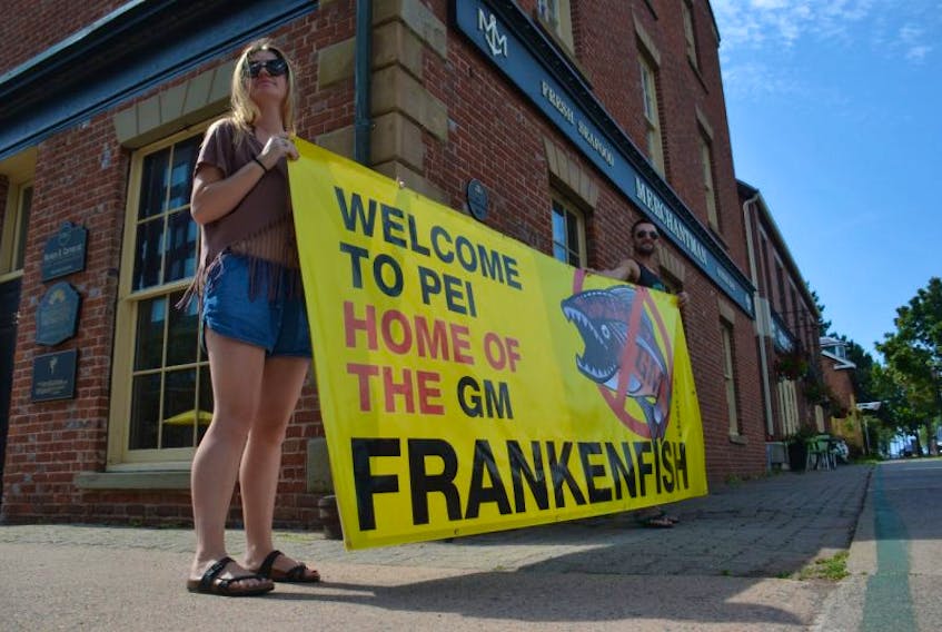 Mackenzie Dutton, left, and Isaac Hemphill take a few minutes during a visit to Charlottetown Tuesday morning as they join local activists who oppose the sale of genetically modified salmon.