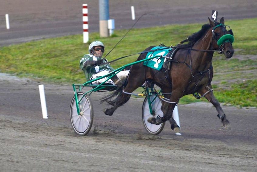 Sock It Away, with Marc Campbell in the bike, leads the pack to the finish line Wednesday at Red Shores at the Charlottetown Driving Park. Sock It Away won the Atlantic Sire Stakes two-year-old colts A division in 1:58.4.
