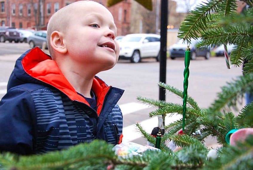 Harrison Maye gives close scrutiny to a colourfully decorated tree along Great George Street in Charlottetown Friday afternoon. The six-year-old boy served as official tree inspector for Christmas Tree Lane, an annual fundraiser for the Childrenâs Wish Foundation of Canada, P.E.I. Chapter.