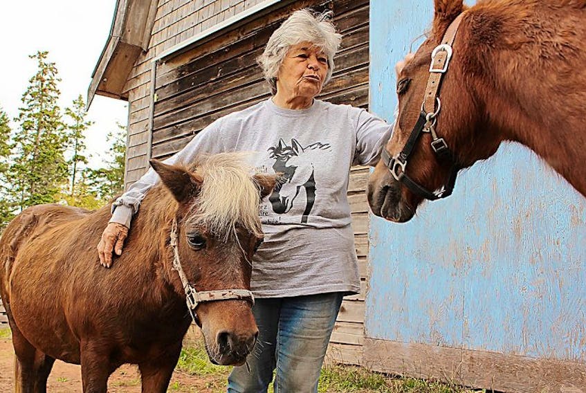Yogi Fell, with ponies Sweetums and Jewel, recently received a Horse Canada award providing $2,000 of funding to the sanctuary.