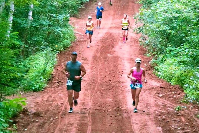 Runners enjoy a downhill stretch at the 6-kilometre point of the 2016 Desmond Baglole Scenic Road Run.