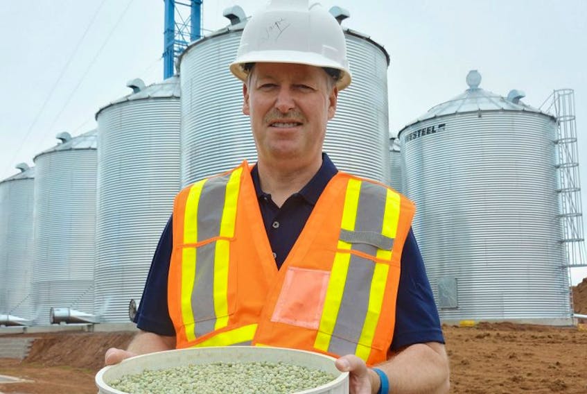 Wayne MacLean with a tray of green peas collected from a local farm. MacLean is the general manager of New Leaf Essentials East. Recently the company began working on assembling a cleaning line and building several silos to house peas, beans, and seed.
