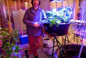 Steve Howard stands under LED lighting inside Summerside’s Makerspace aquaponics system, where fish and plants grow together.