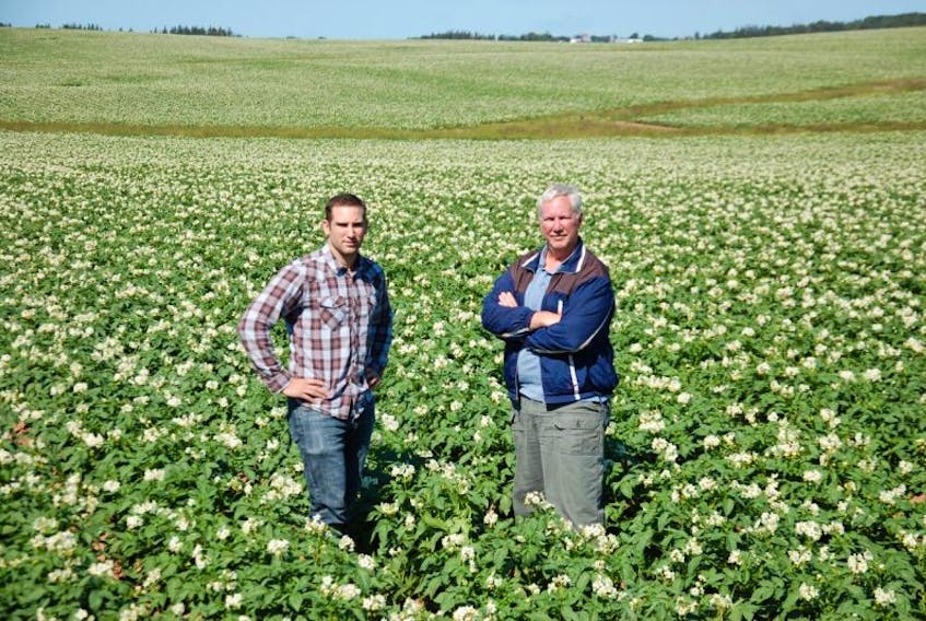 Terry Curley and his son, Derrick, the fifth and sixth generation of Murnaghan Farms, stand in a 130-acre potato field in Norboro. The family-run operation farms roughly 1,500 acres of potatoes and another 2,500 acres of other crops including hay and winter rye.
