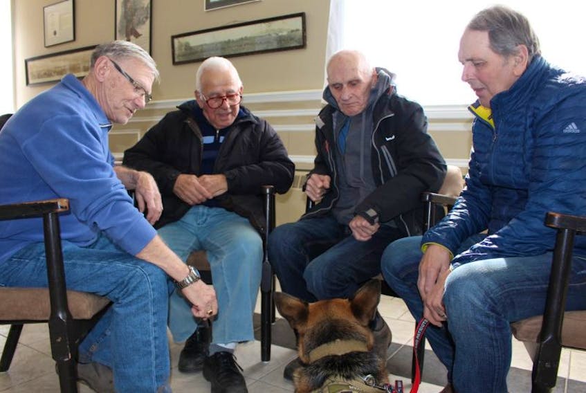 Veterans Dennis Hopping, left, John B. Perry, Brian Sutton and Austin McLin chat after a recent veteran peer support group in Summerside, while dog Myah rests nearby.
