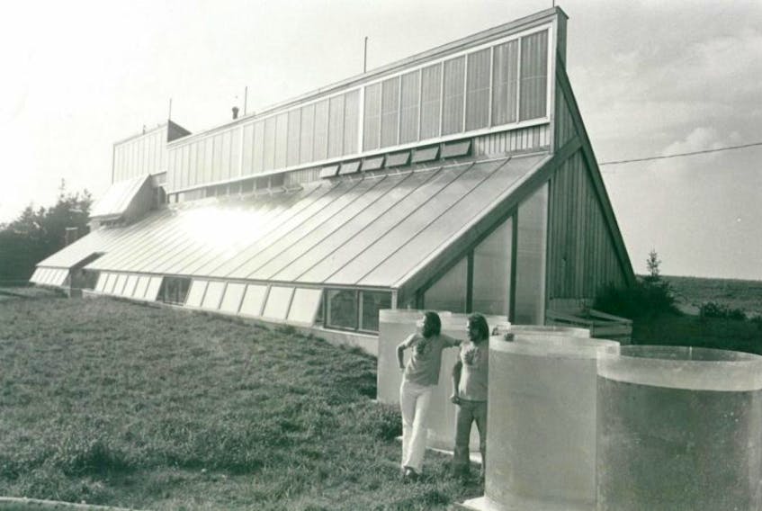 ['David Bergmark and Ole Hammarlund of Solsearch Architects at the southeast corner of the Ark for Prince Edward Island, 1976.']