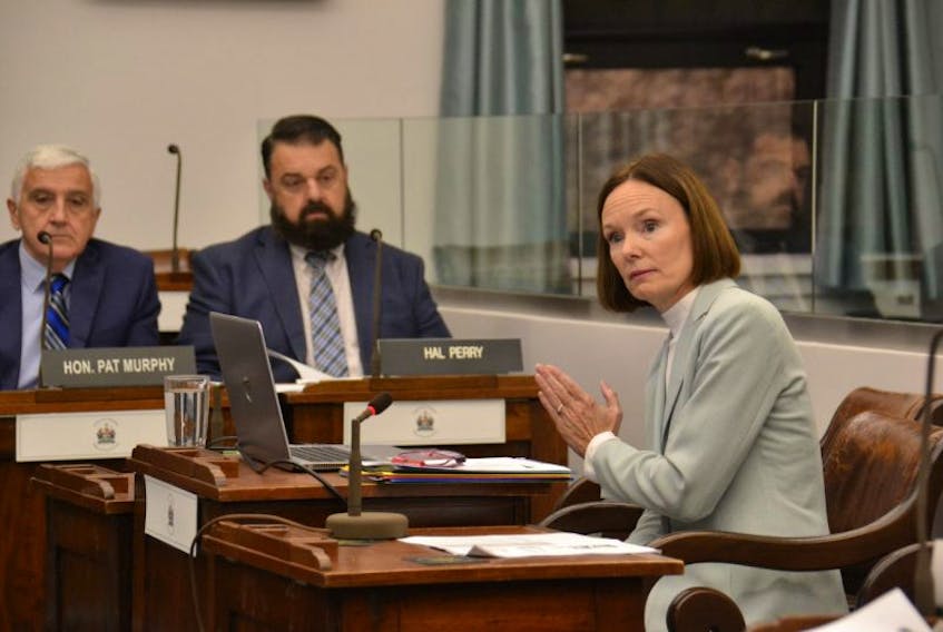 Privacy commissioner Karen Rose delivered her recommendations to the Standing Committee on Communities Land and Environment Thursday. She wants to see cities, towns and post-secondary institutions to be brought under freedom of information law.