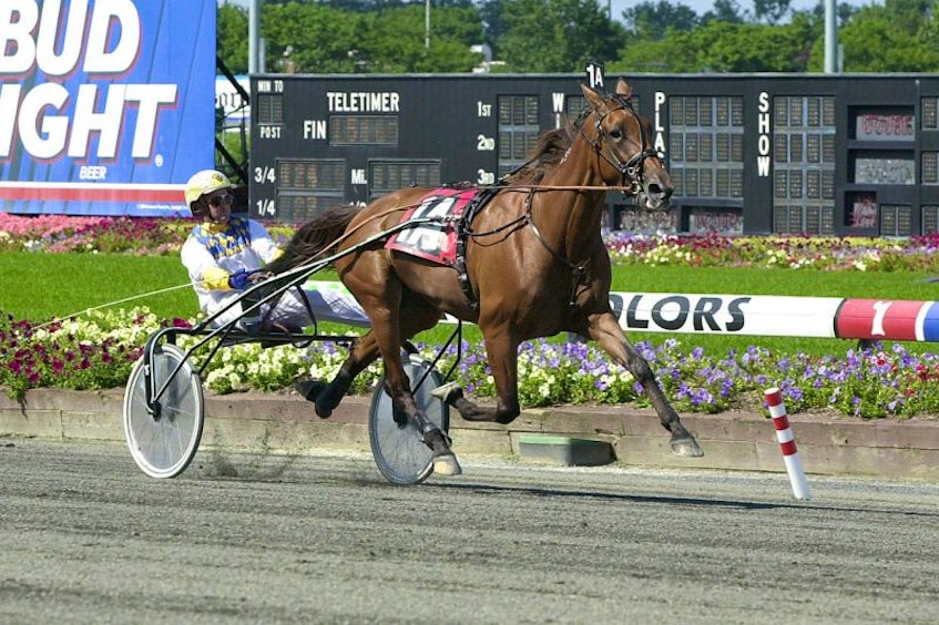 Island native Wally Hennessey, a renowned harness racing driver seen in this file photo driving Moni Maker, will be a special head table guest Wednesday at the launch in Charlottetown of a book called World Harness Racing. Submitted photo