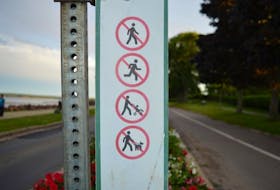 The City of Charlottetown has these signs posted at either end of the cycling lane at Victoria Park. It states that walking, running, pushing strollers and walking dogs are prohibited.
