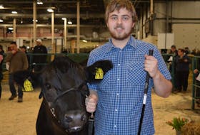 Corey Ford of Winsloe took home the 4-H title at the P.E.I. Easter Beef Show and Sale Thursday in Charlottetown with his 1,475-pound Maine Anjou. His prized steer will also be competing for grand champion in Friday’s sale.