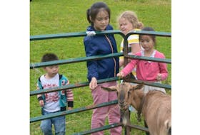 From left, youngsters Jamie Sun, Julie Qian, Skyla Arsenault and Fiona Tao feed Sally the goat at Potts Farm in Bonshaw during Open Farm Day. The third-generation mixed farm provided horse and wagon rides, a small petting zoo and tours of their farm throughout the day.