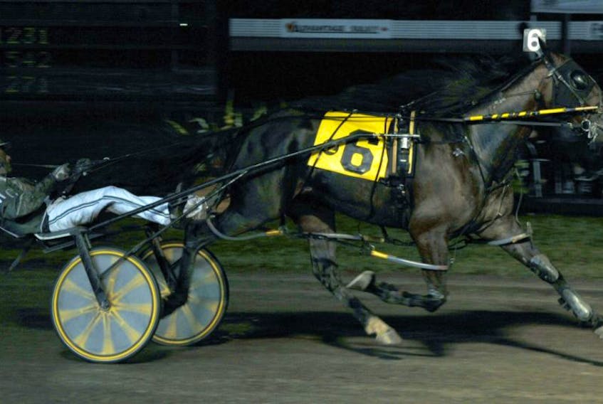 Always At My Place crosses the finish line first in 1:51.1 in Gold Cup and Saucer Trial 1.