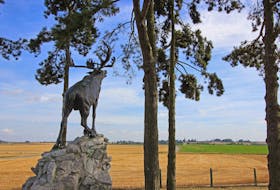The caribou monument to be erected at Gallipoli will be one of six, including this one at the Gueudecourt Newfoundland Memorial in France. 