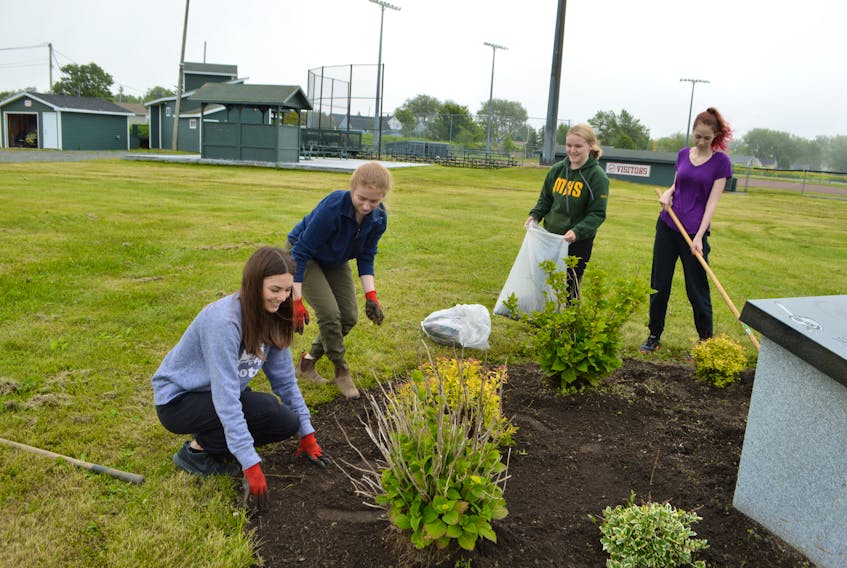 Grant workers with the Sydney Mines District Little League, from left, Danielle Laffin, Breagh MacNeil, Rebecca Handley and Denver White, work on weeding gardens, beautifying the grounds at the Nicole Meany Memorial Ballfield on Pitt Street in Sydney Mines. Officials with Little League say even though there’s no baseball yet they still want to ensure the fields look good. Sharon Montgomery-Dupe/Cape Breton Post