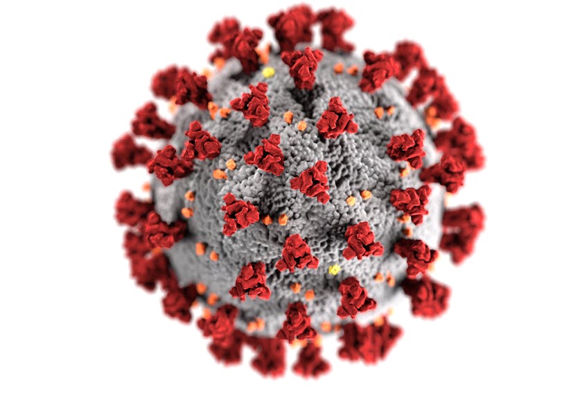An enhanced image of SARS-CoV-2