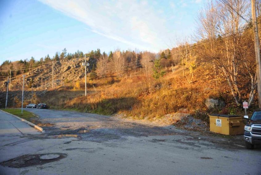<p>This wooded area located behind the Ultramar gas station on West Street is where a new hiking trail to be named Maj. Bertram Butler Trail will be constructed next spring.</p>