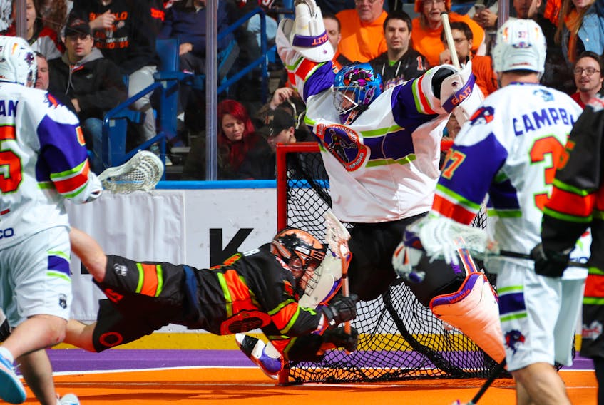 Buffalo Bandits’ Dan Linter takes a diving shot on Halifax Thunderbirds goalie Warren Hill during National Lacrosse League action on Saturday in Buffalo. (CONTRIBUTED)