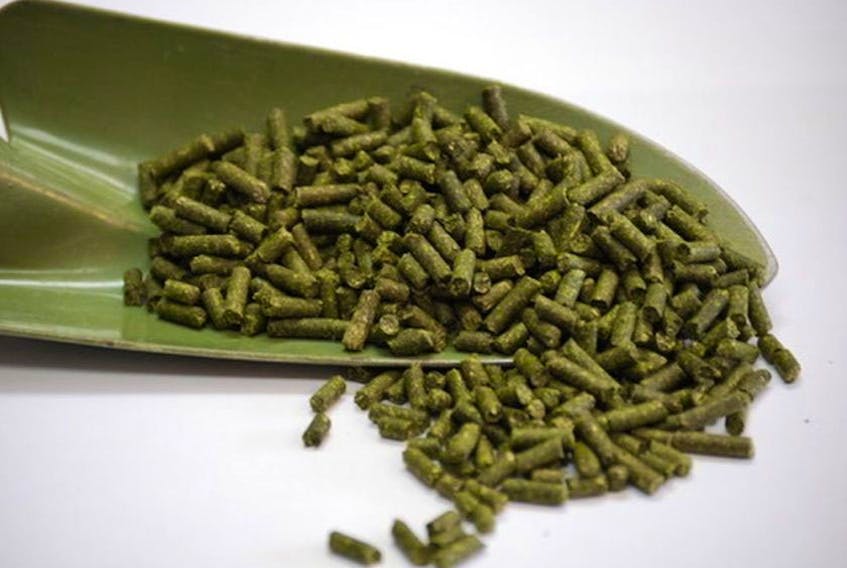 Alfalfa pellets.  Photo courtesy Alfalfa Greens) 