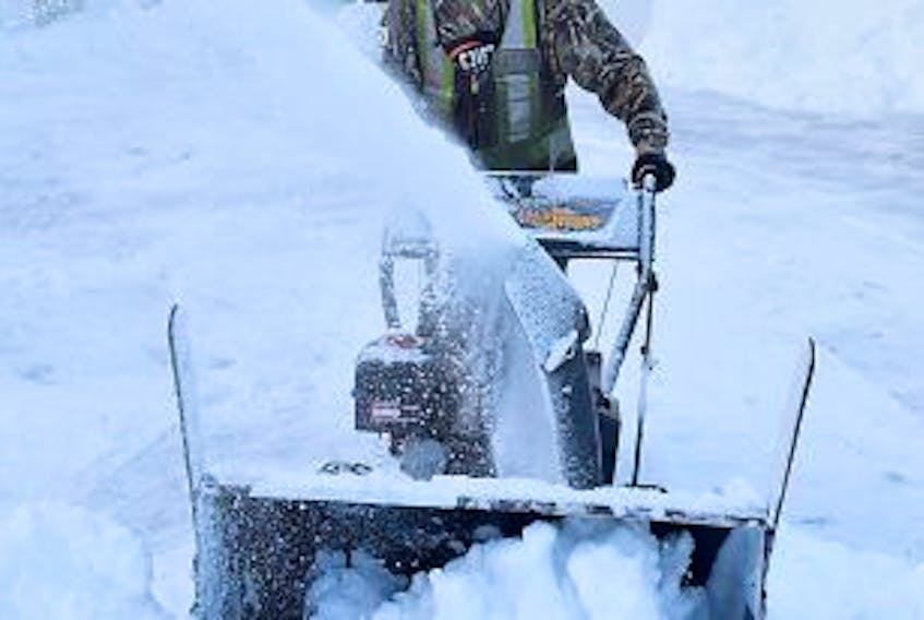 ['Alex Levean was busy blowing snow on Sunday in Truro after a winter storm blanketed the region with more than 20 cm.']