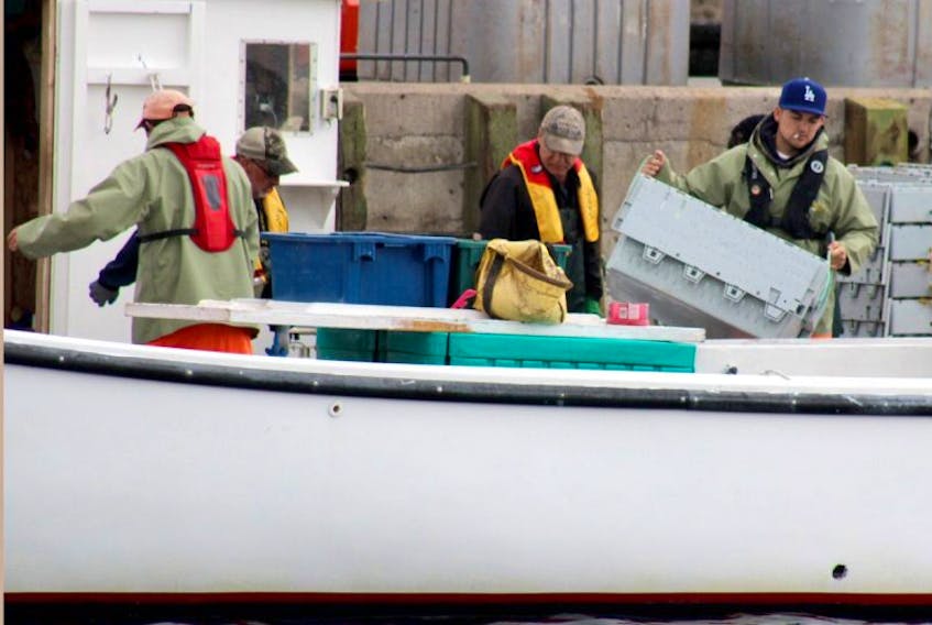 Crew members of the White Lady are seen unloading lobster at the Caribou wharf from Monday’s catch.