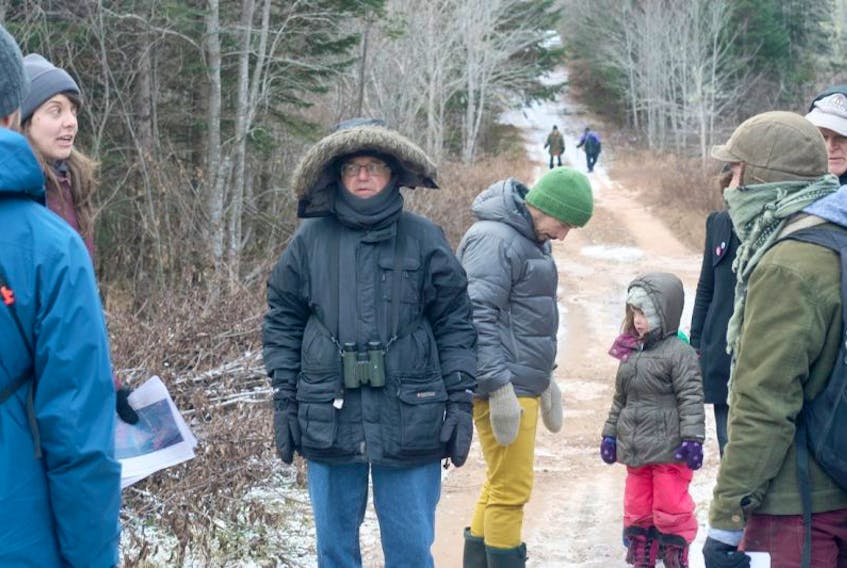 Volunteers with the Ecology Action Centre organized a bio blitz or environmental survey of one section of the Alton gas pipeline route on Dec. 10.