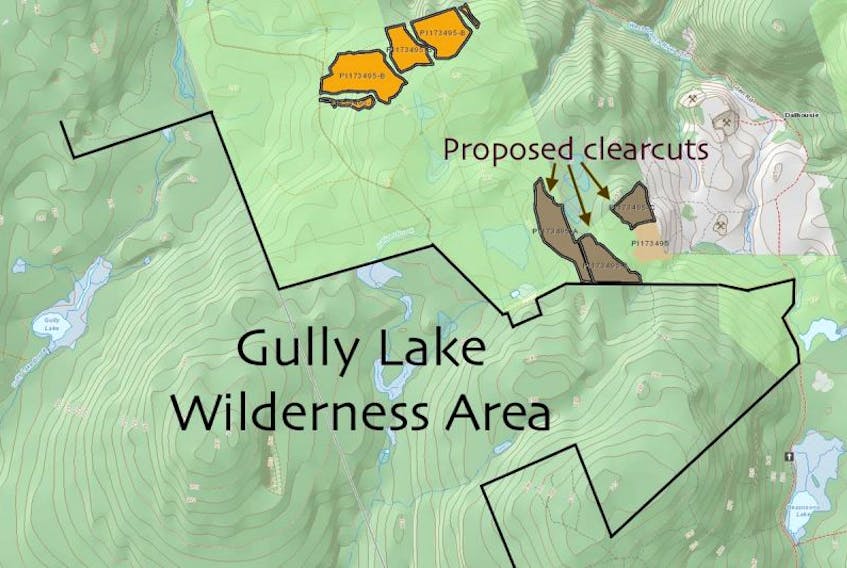 The Department of Natural Resources have proposed two clearcuts on the boundary of the Gully Lake Wilderness Area.