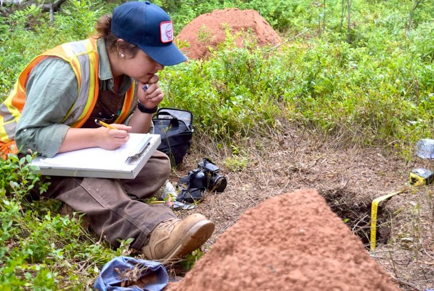 Geologist and project supervisor Lindsey Parker makes notes while checking out a hole at the Debert archaeology site.