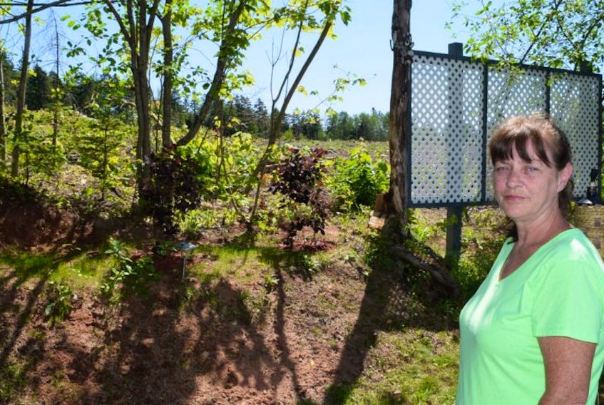 Margaret Traverse of Guest Drive in Bible Hill erected a small privacy fence behind her home after the adjoining property was clear-cut in preparation for a proposed 55-plus housing development. Beyond the loss of privacy, however, Traverse said the loss of trees has intensified the drainage issues on her property.