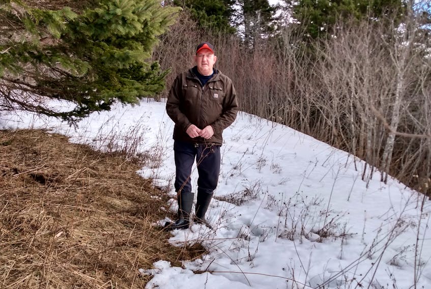 Angus MacDonald is a private woodlot owner in Cape Breton. CONTRIBUTED