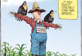 Bruce MacKinnon cartoon for Friday, June 5, 2020. CERB, shortage of farm workers