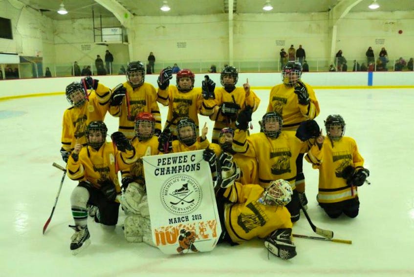 The Tusket Ford Peewee team of the Yarmouth County Minor Hockey Association brought home the gold and the banner from the Birthplace of Hockey March Break tournament in Windsor.