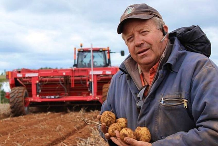 Alex Docherty is digging in for harvest season at his Skyeview Farms in Elmwood, P.E.I.