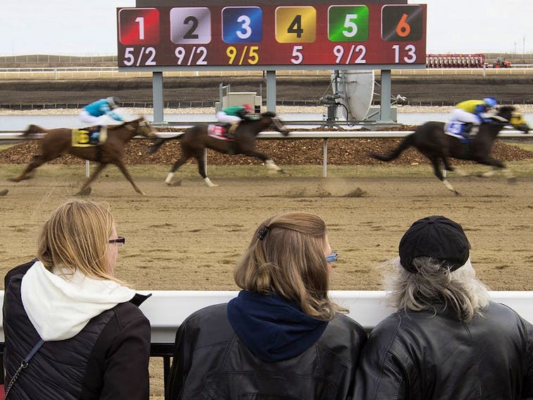 Horse racing fans watch a race at the Century Mile Racetrack and Casino, in Edmonton Saturday May 4, 2019.  