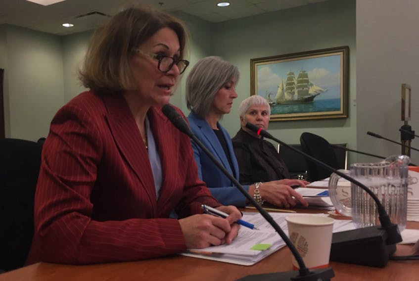 Members of the Forestry Transition Team present to the Natural Resources and Economic Development  Committee Wednesday. From left,  Ava Czapalay, chair Kelliann Dean and Julie Towers.