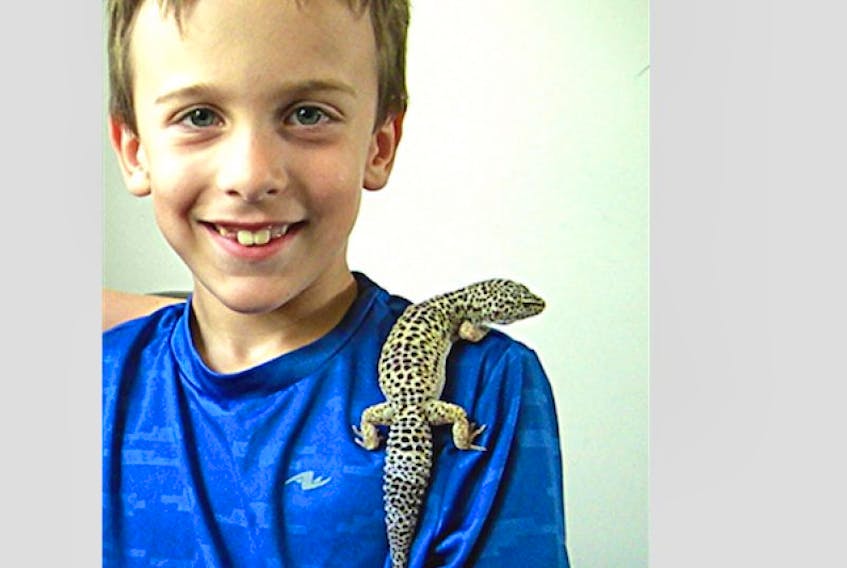 <p>Tristan Pulsifer, eight, with a pet leopard gecko.&nbsp;</p>
