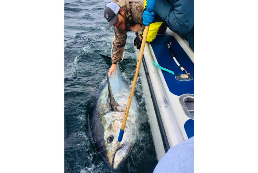 Brad Tinney, a charter captain from Alabama, is shown with a bluefin tuna he caught with Tony’s Tuna Fishing in North Lake this past summer. The tuna was released afterwards.