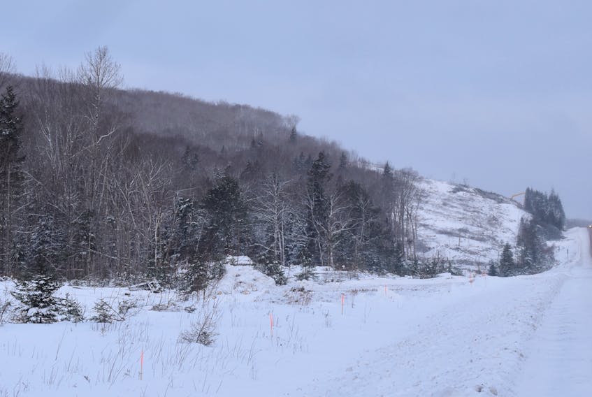 Clearing work is well underway for the planned twinned highway from Sutherland’s River to Antigonish. This photo was taken near Barney’s River in Pictou County.  BRENDAN AHERN/THE NEWS
