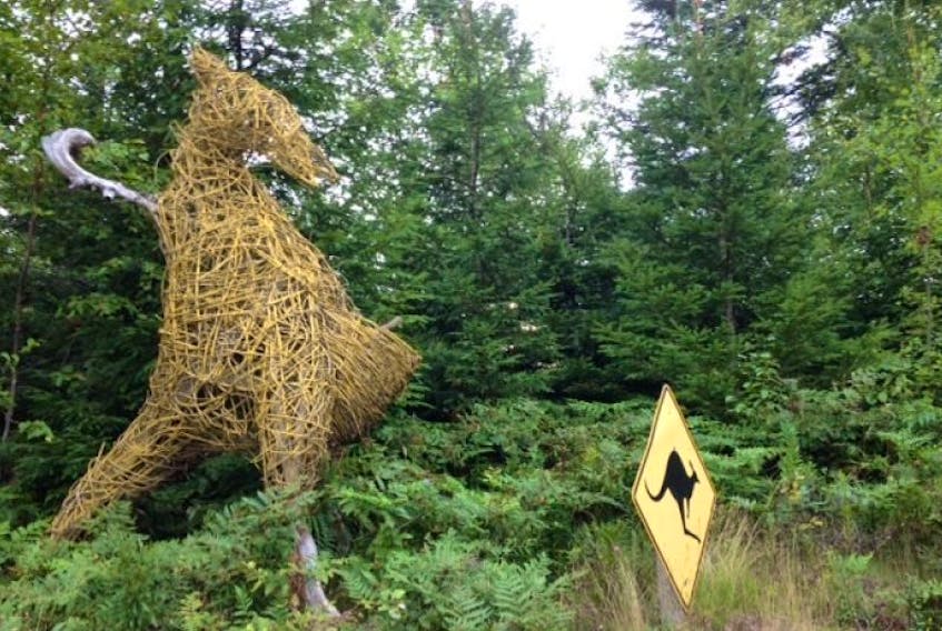Drivers will be surprised by the huge yellow kangaroo, created by Nistal Prem de Boer for the Uncommon Art project, on the Russia Road in Black Rock.&nbsp;