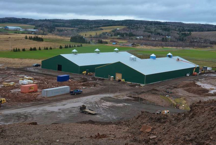 Robinsons Cannabis in Kentville was busy expanding operations to add an outdoor grow site in Hortonville in 2019.