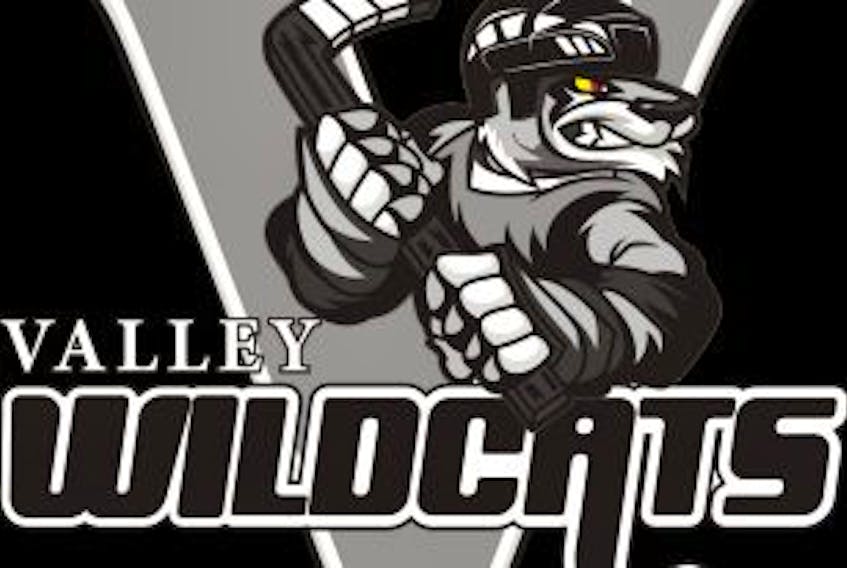 ['Valley Wildcats hockey']