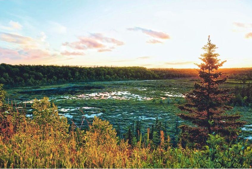 This wetland is part of a 606-acre site on the Crabbes River near the town of <br />St. Fintan’s that has been donated to the Nature Conservancy of Canada.— Submitted photo