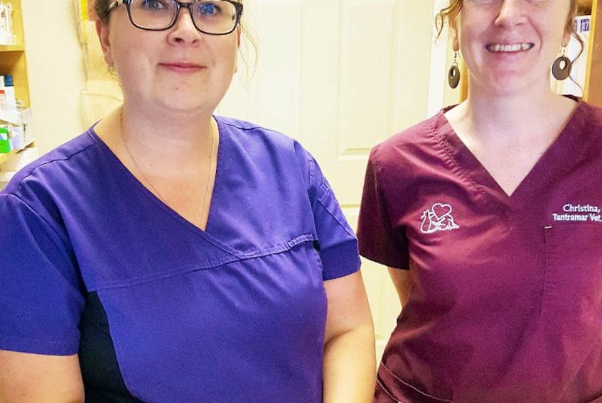 Vanessa Reed (left) and Christina Robichaud work at the Tantramar Veterinary Hospital in Sackville, N.B. The business has been acquired by the Amherst Veterinary Hospital.

