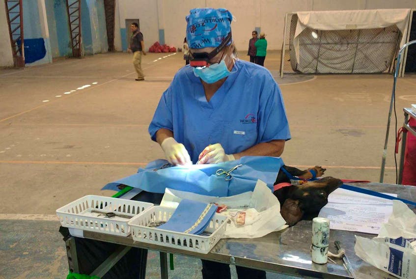 Gwen Mowbray-Cashen used a headlamp for extra lighting while performing surgery at a World Vets spay/neuter clinic in Ecuador.