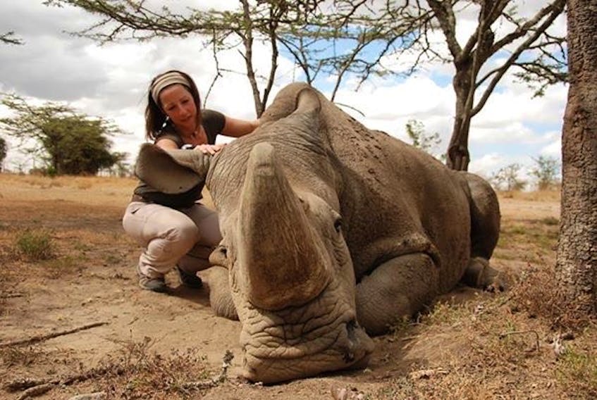 Laite with Sudan, the last male northern white rhino in the world, who died in March 2018. Contributed photo
