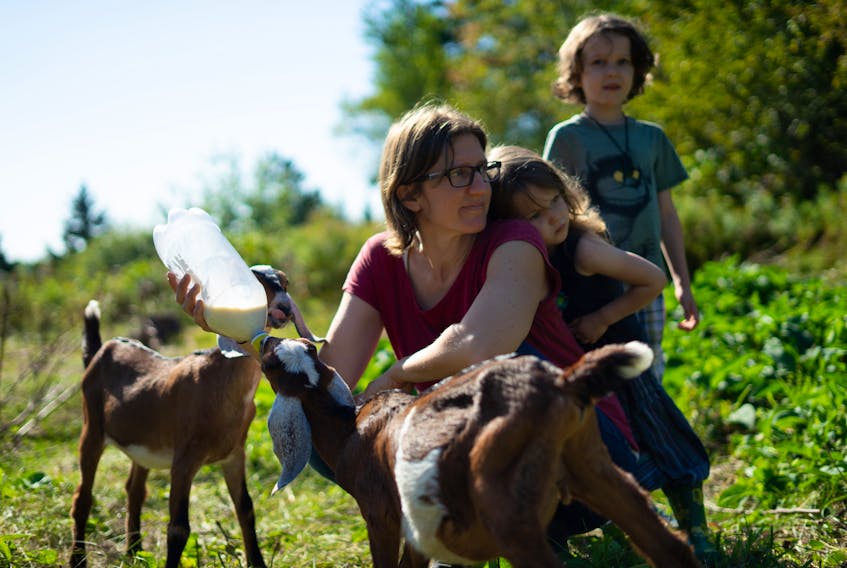 Jen Lussing and two of her children, Astrid and Asa, are shown feeding goats at the Lailo Farm Sanctuary in Canaan, Kings County.
